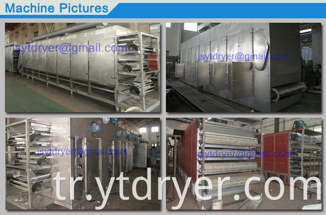 Multilayer Penetrating Belt Dryer